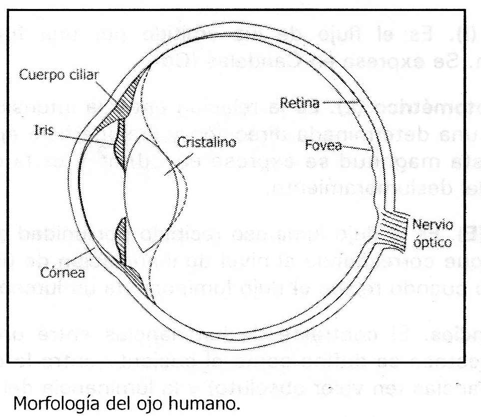 sistema optico del ojo pdf